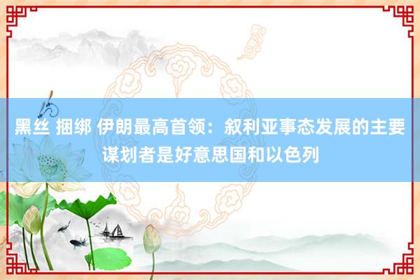 黑丝 捆绑 伊朗最高首领：叙利亚事态发展的主要谋划者是好意思国和以色列