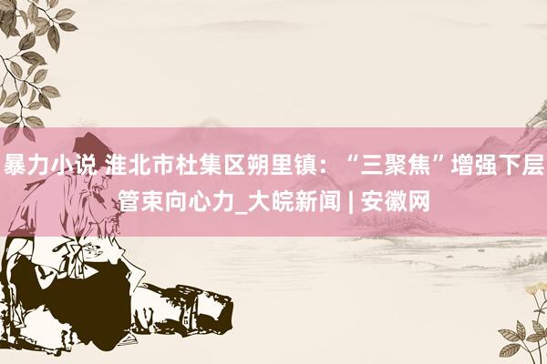 暴力小说 淮北市杜集区朔里镇：“三聚焦”增强下层管束向心力_大皖新闻 | 安徽网