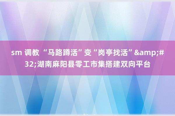 sm 调教 “马路蹲活”变“岗亭找活”&#32;湖南麻阳县零工市集搭建双向平台