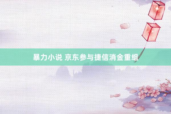 暴力小说 京东参与捷信消金重组