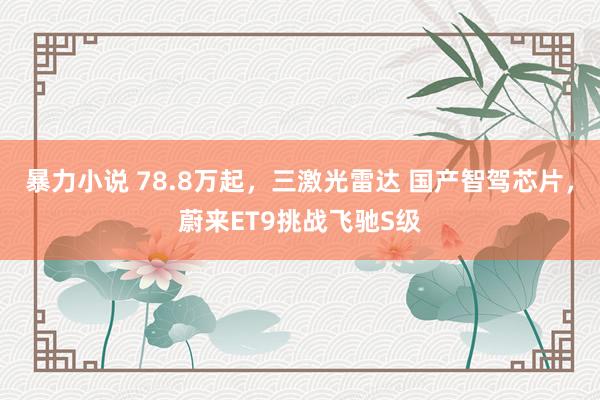 暴力小说 78.8万起，三激光雷达 国产智驾芯片，蔚来ET9挑战飞驰S级
