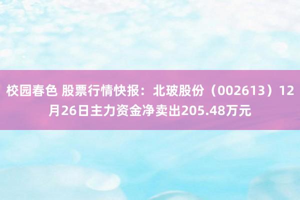 校园春色 股票行情快报：北玻股份（002613）12月26日主力资金净卖出205.48万元