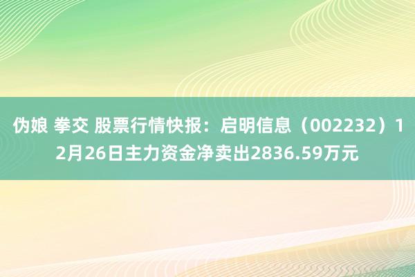 伪娘 拳交 股票行情快报：启明信息（002232）12月26日主力资金净卖出2836.59万元