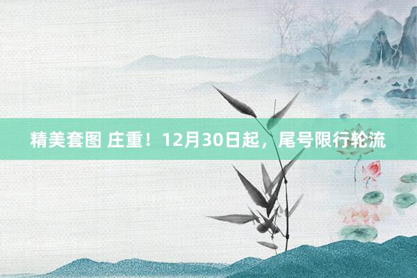 精美套图 庄重！12月30日起，尾号限行轮流