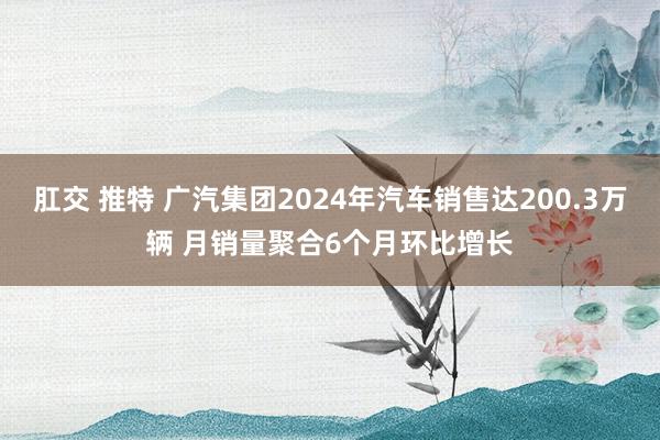 肛交 推特 广汽集团2024年汽车销售达200.3万辆 月销量聚合6个月环比增长