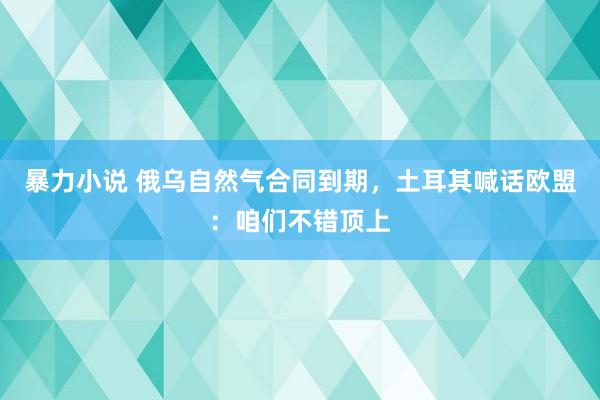 暴力小说 俄乌自然气合同到期，土耳其喊话欧盟：咱们不错顶上
