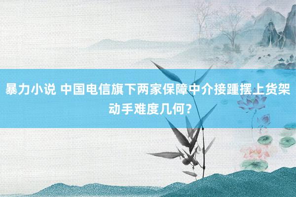 暴力小说 中国电信旗下两家保障中介接踵摆上货架 动手难度几何？