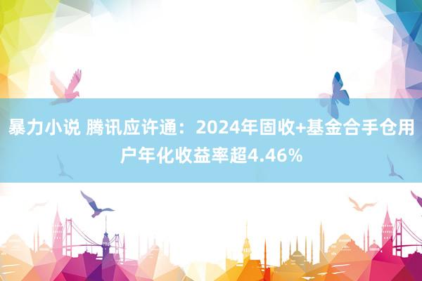 暴力小说 腾讯应许通：2024年固收+基金合手仓用户年化收益率超4.46%