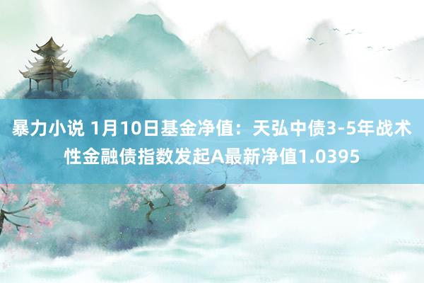 暴力小说 1月10日基金净值：天弘中债3-5年战术性金融债指数发起A最新净值1.0395