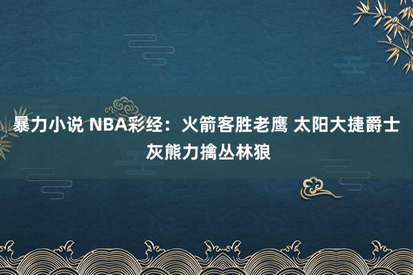 暴力小说 NBA彩经：火箭客胜老鹰 太阳大捷爵士 灰熊力擒丛林狼