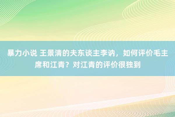 暴力小说 王景清的夫东谈主李讷，如何评价毛主席和江青？对江青的评价很独到
