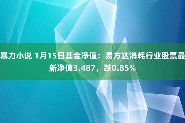 暴力小说 1月15日基金净值：易方达消耗行业股票最新净值3.487，跌0.85%