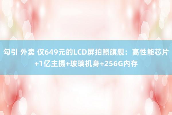 勾引 外卖 仅649元的LCD屏拍照旗舰：高性能芯片+1亿主摄+玻璃机身+256G内存