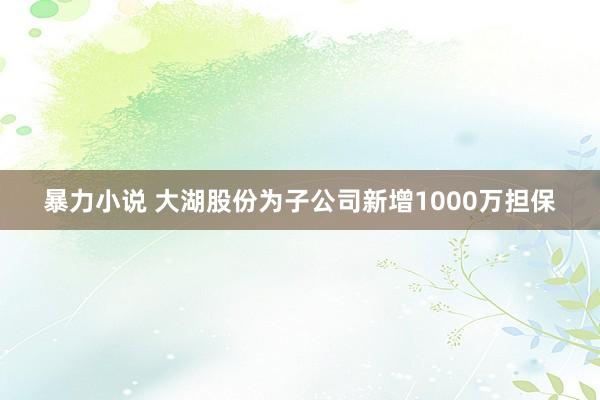 暴力小说 大湖股份为子公司新增1000万担保